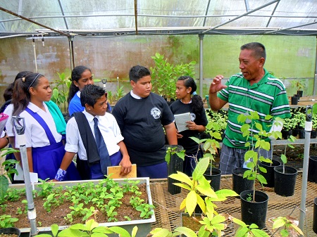 CNR Greehouse Tour